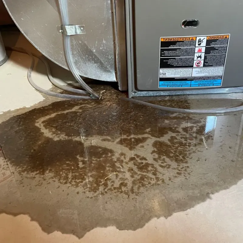 Pipe Burst and Leak Restoration in Belvedere, CA